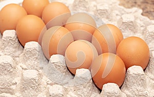 Chicken eggs are folded in a box