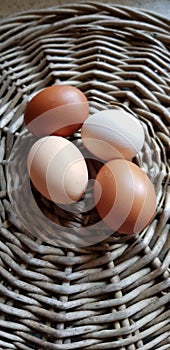 Chicken eggs in four different colours