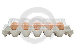 Chicken eggs are fresh in cardboard package made of recycled paper with plastic cover. isolated on white background. with clipping