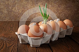Chicken eggs and green onions. Green onions in the middle of brown raw eggs in an egg box on a dark wooden background. The concept