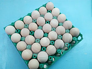 Chicken eggs in green plastic cells