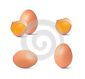 Chicken eggs, half broken egg and yolk isolated on white background. Vector illustration