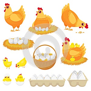 Chicken eggs. Hen farm egg, nest and tray of chickens eggs cartoon vector illustration set
