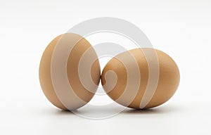 Chicken eggs isolated on white background