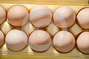 Chicken eggs lie in a yellow plastic tray. photo