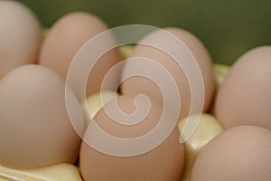 Chicken eggs lie in a yellow plastic tray. photo