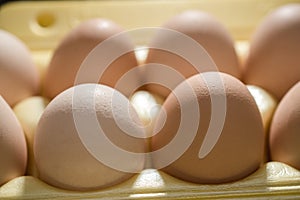 Chicken eggs lie in a yellow plastic tray. photo