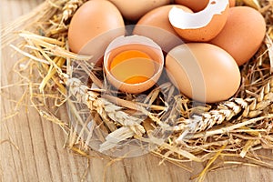 Chicken eggs in nest.