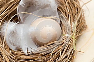 Chicken eggs in a nest with feather