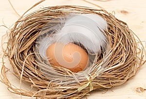 Chicken eggs in a nest with feather