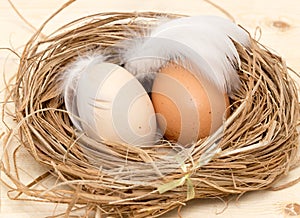 Chicken eggs in a nest with feather