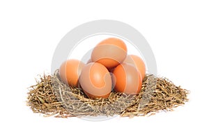 Chicken eggs in a nest on white background