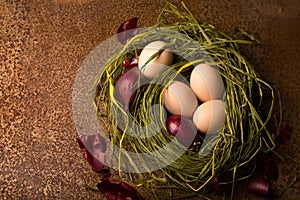 Chicken eggs with onions in the nest