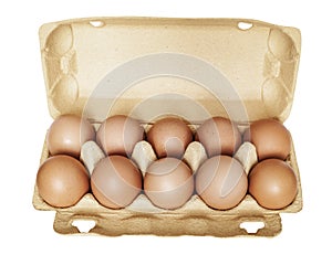 Chicken eggs in open carton box. Hen healthy eating. Isolated. png transparent