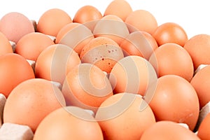 Chicken Eggs In paper container tray box.