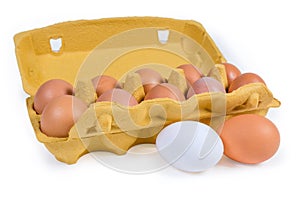 Chicken eggs in paper pulp carton and two eggs separately photo