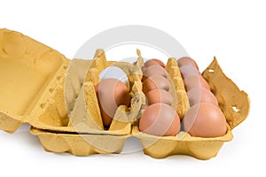 Chicken eggs in paper pulp cartons closeup on white background photo