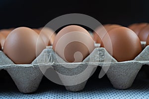 Chicken eggs placed on an egg tray. Close-up
