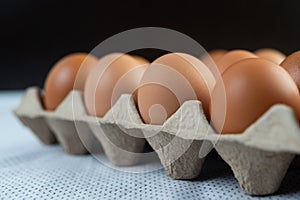 Chicken eggs placed on an egg tray. Close-up
