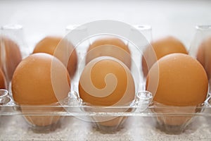 Chicken eggs in plastic box close-up.