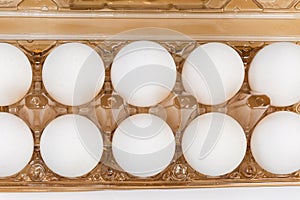 Chicken eggs in plastic egg packaging tray, fragment top view photo