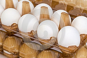 Chicken eggs in plastic egg packaging trays, fragment close-up photo