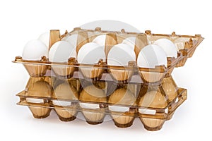 Chicken eggs in plastic egg packaging trays, side view photo