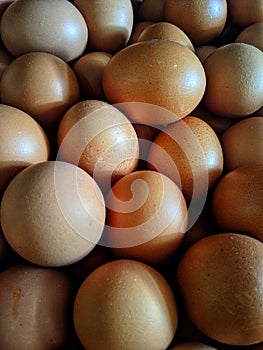 Chicken eggs produced from Laying hens