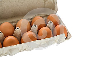 Chicken eggs in pulp egg carton isolated on white background.