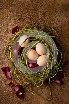 Chicken eggs with purple onions in the nest