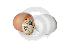 Chicken eggs and quail egg isolated