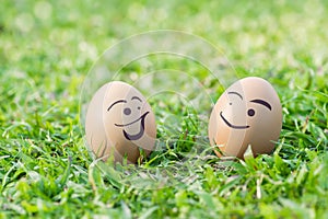 Chicken eggs smille on grass