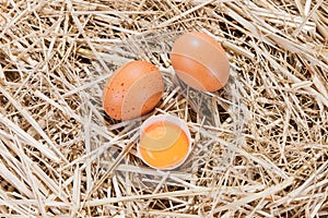 Chicken eggs in the straw with half a broken egg