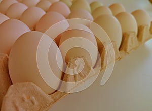 Chicken eggs, that to many usefull for cooking photo