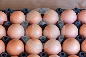 Chicken eggs in tray selection focus.