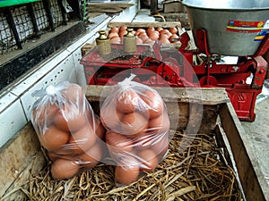 Chicken eggs are weighed to be ready for packing