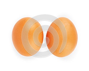 Chicken eggs on a white background