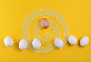 Chicken eggs on a yellow pastel background, concept of uniqueness, minimalism, creative easter background.