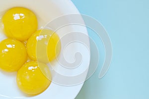 Chicken eggs yolks in the white bowl on the blue background.