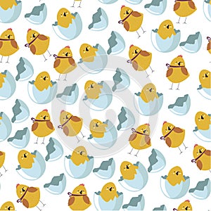 Chicken in eggshell and bird seamless pattern vector