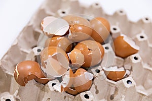 Chicken eggshell fragments