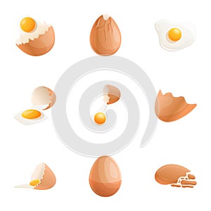 Chicken eggshell icon set, cartoon style