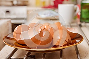 Chicken eggshells lie on a plate in the kitchen.