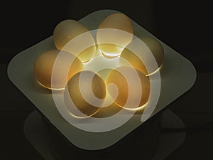 Chicken embryo development study , Quality control inspecting contorl chicken eggs