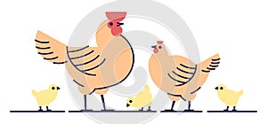 Chicken family flat vector illustration. Isolated orange rooster, hen and yellow cute chicks. Hennery, poultry farm