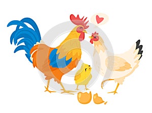 Chicken family: hen, rooster