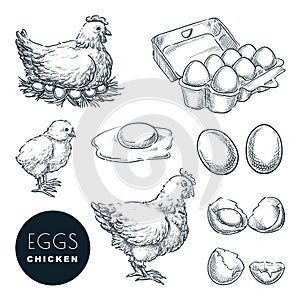 Chicken farm fresh eggs. Vector set of sketch design elements. Hand drawn hen, poultry and little chicken