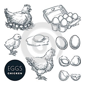 Chicken farm fresh eggs. Vector set of sketch design elements. Hand drawn hen, poultry and little chicken photo