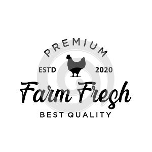 Chicken farm logo vintage premium quality. Fresh eggs logo. Premium element design packaging