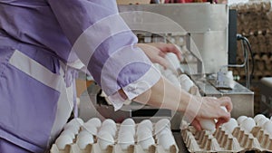 Chicken farm poultry workers sorting hen eggs at factory conveyor